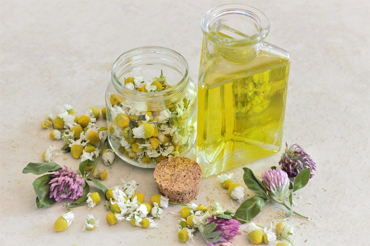 Read more about the article ISKRICE O ZDRAVLJU